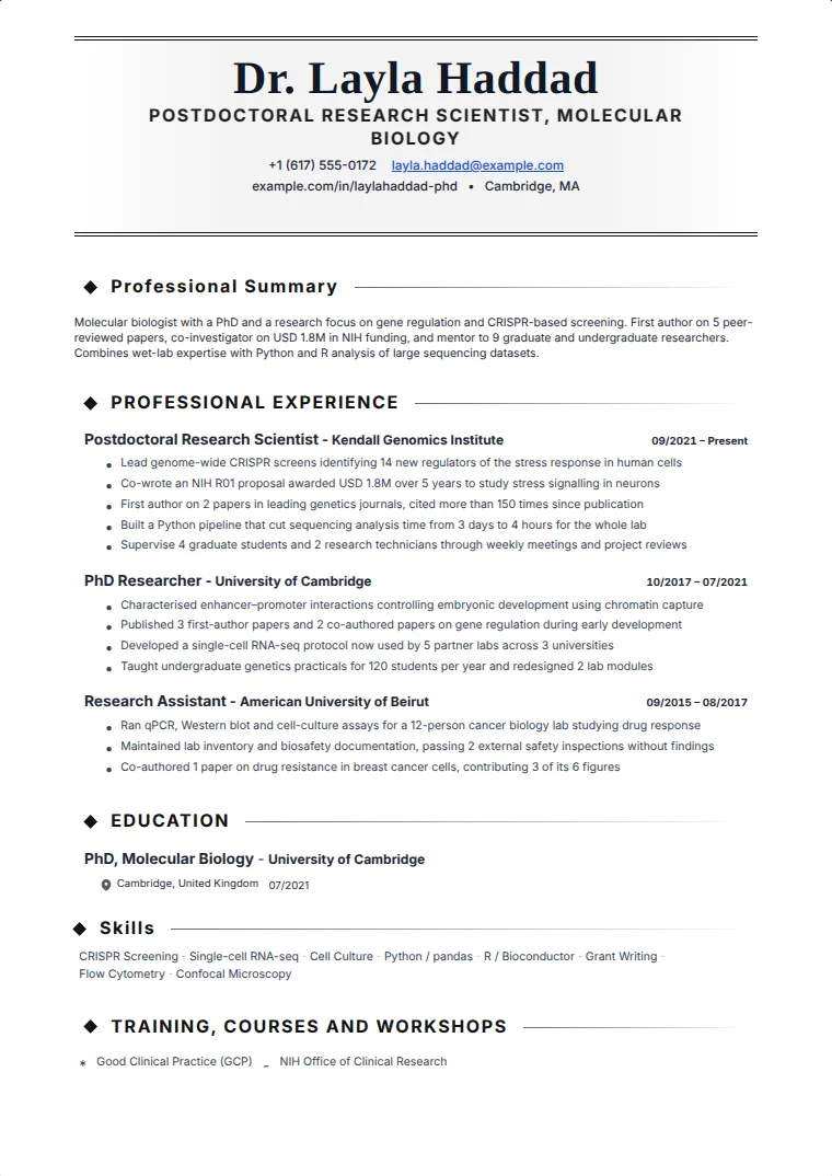 Academic Scholar CV template with a sample CV