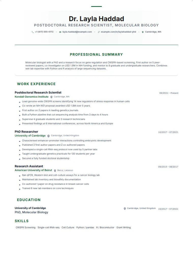 Elegant Serif CV template with a sample CV