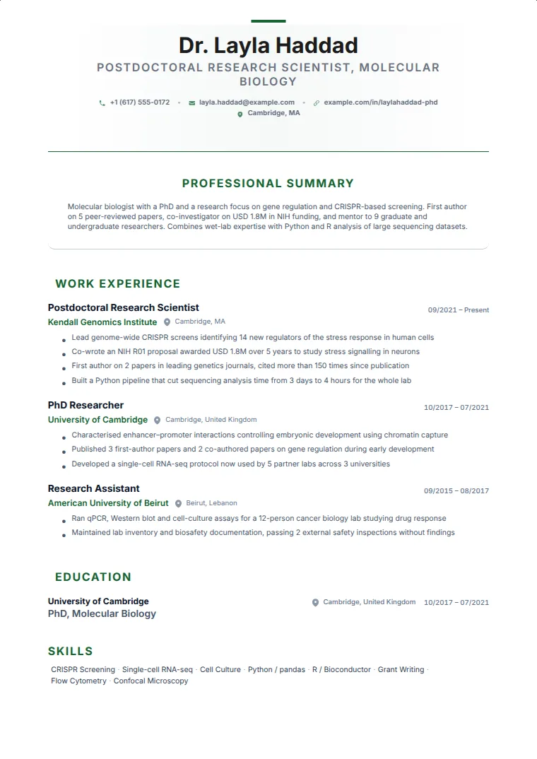 Elegant Serif CV template with a sample CV