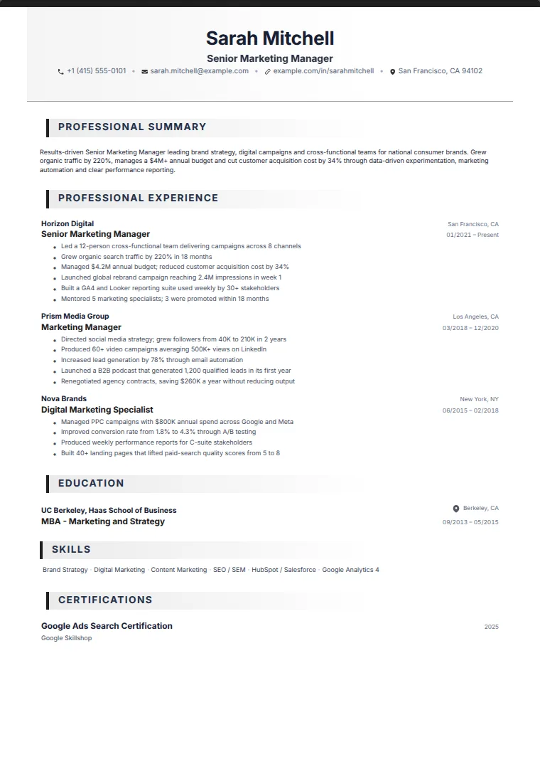 Standard Professional CV template with a sample CV