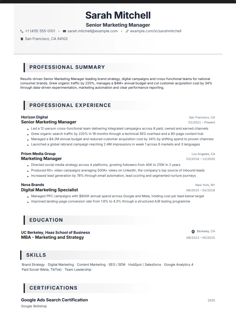 Standard Professional CV template with a sample CV